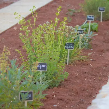 Trullo Il Gatto Nero
