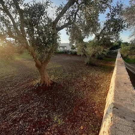 Tatil Evi Trullo Il Gatto Nero *