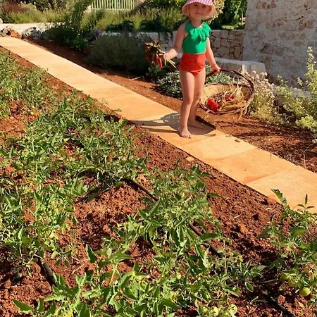 Trullo Il Gatto Nero Ostuni